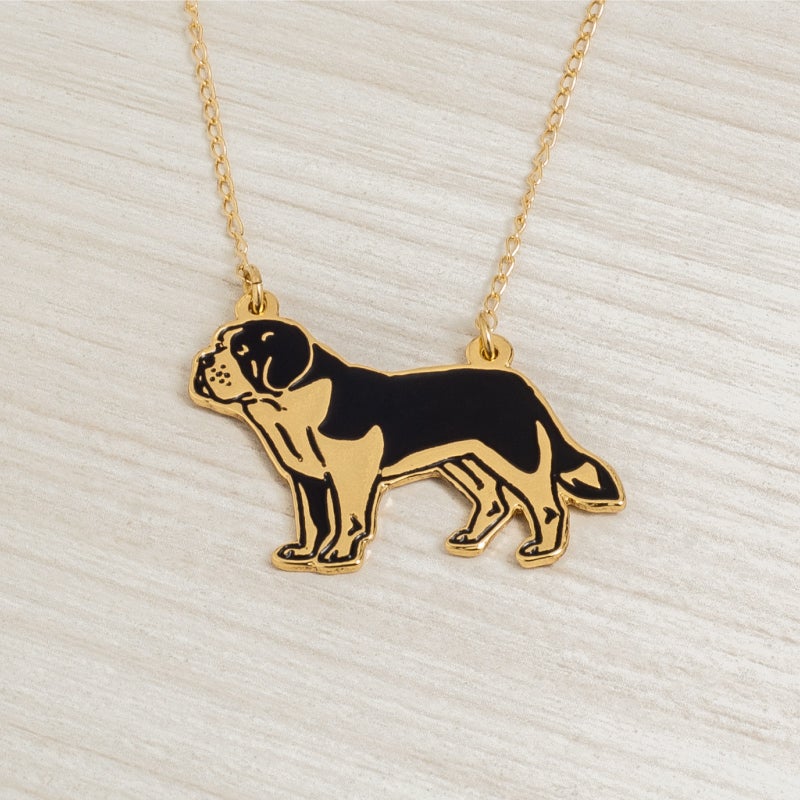 Cadena San Bernardo cuerpo