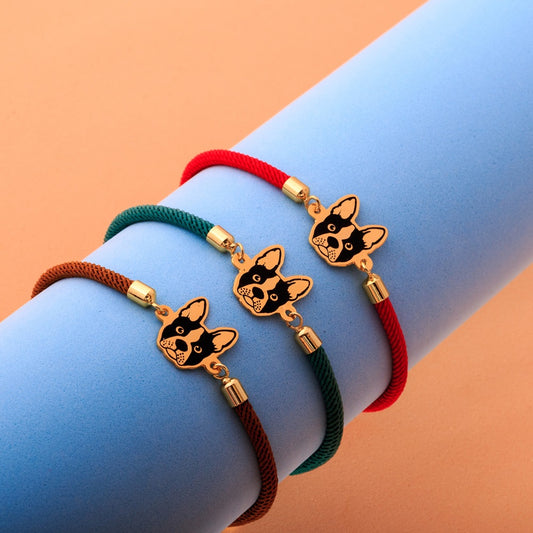 Manilla Boston terrier luxury